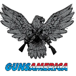 GunsAmerica Official Photo